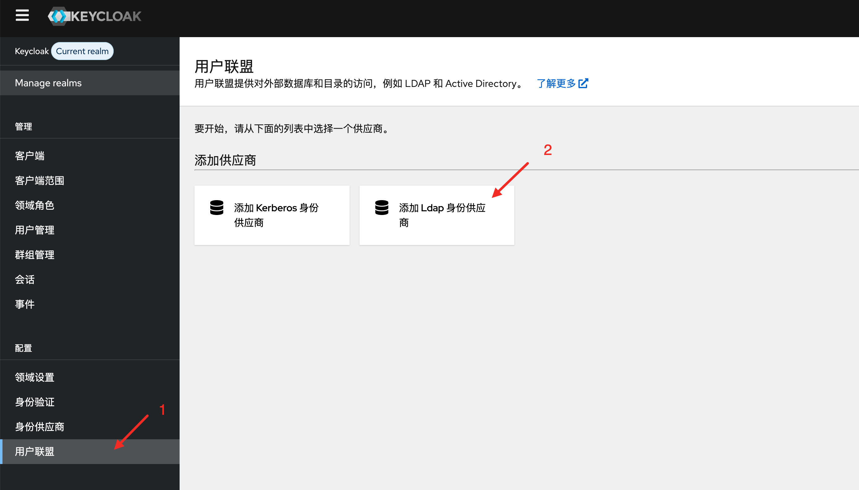 User Federation 入口